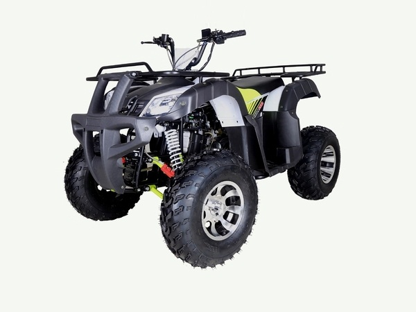 Shop Taotao New Bull 200 169cc Automatic For Sale