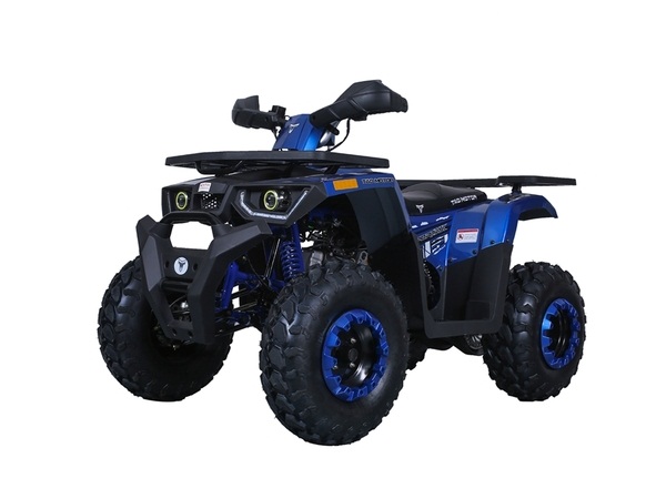 Buy New Taotao G200 Utility ATV Automatic Assembled -TXPowersports.com