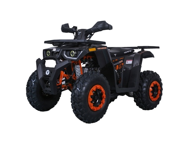 Buy New Taotao G200 Utility ATV Automatic 4-Stroke - TXPowersports.com