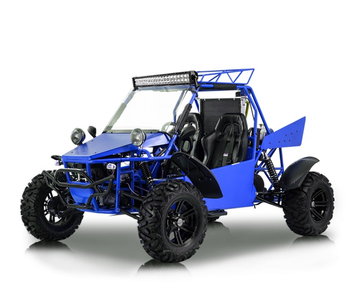 BMS-V-TWIN-BUGGY-800-L4