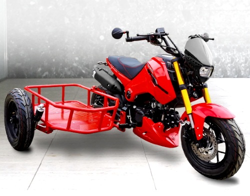Ice Bear Fuerza (PMZ125-1S) Motorcycle