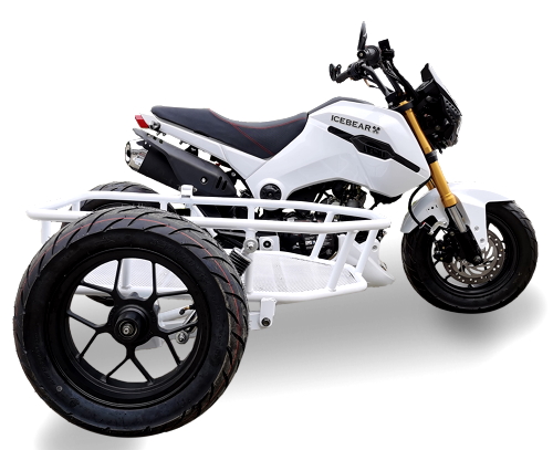 Ice Bear Fuerza (PMZ125-1S) Motorcycle