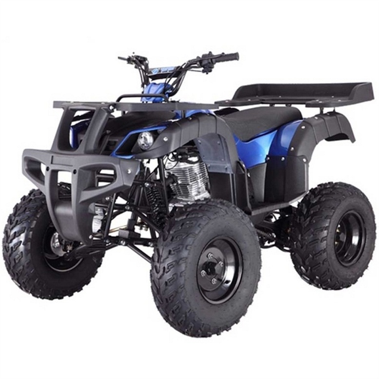 The Taotao Ata 250D Huge 23 Inch Tires Atv. For Online Sale