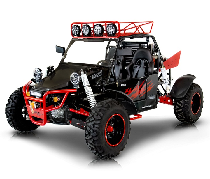 BMS V-TWIN BUGGY 800